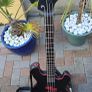 ESP LTD Frank Bello Signature Bass. Custom Satin Black & Red Image 5