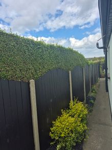 Arched Fence Panels x13