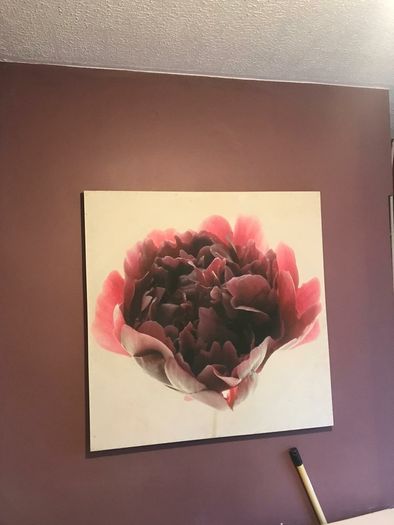 Large Flower Picture