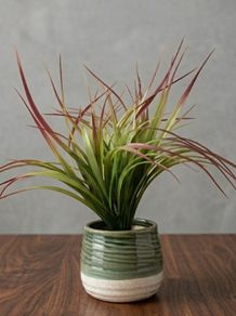 Artificial Plant