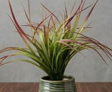 Artificial Plant