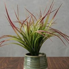 Artificial Plant