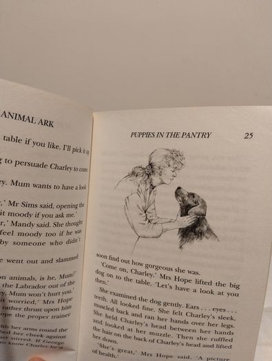 Animal Ark Children,s Story Book By Lucy Daniels
