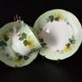 Duchess Tea Set Image 5