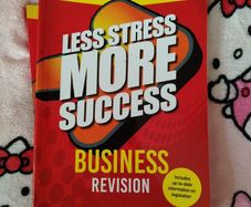 Less Stress More Success Business Leaving Cert