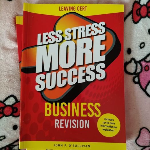 Less Stress More Success Business Leaving Cert