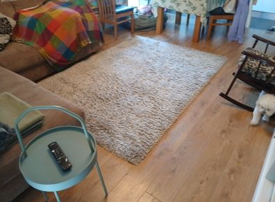 Rug