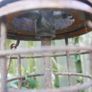 Vintage TILLEY Lamp / Oil Lantern - Tilley Model x-246 in Gold - Tilley Guardsman Lamp Image 8