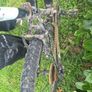 26 in bike Image 2