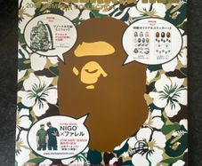 A Bathing Ape BAPE NIGO & PHARRELL COVER 2008 Spring Summer Lookbook Catalogue