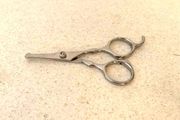 Dog Scissors