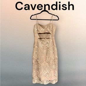 Elegant Cavendish Nude Dress