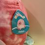 Large Squishmallow "Oshun" - Brand New Duo Image 2