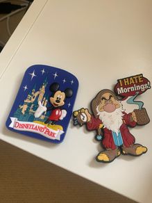 Disney fridge magnets