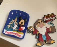 Disney fridge magnets