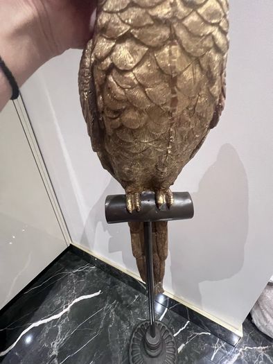 decorative parrot
