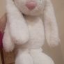 Plush Soft Toy Bunnies x3 Image 2