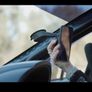 Quad Lock Car Suction Mount Image 2