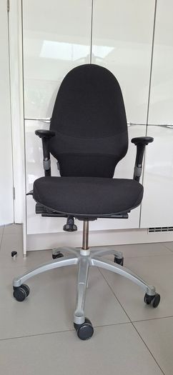 Ergonomic Office Chair
