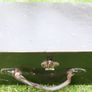 Vintage suitcase from the 1940s, DUBLIN wooden travel case Image 2