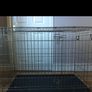savic dog cage Image 3