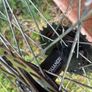 Disc Wheelset Image 6