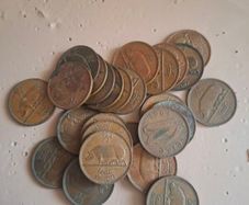 26 irish half pennys
