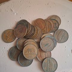 26 irish half pennys
