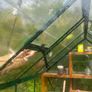 Glasshouse Image 3