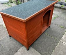 dog box