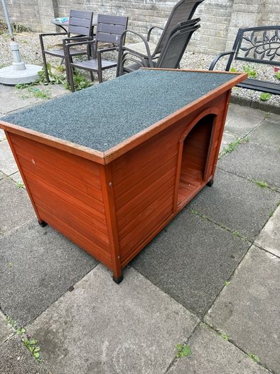 dog box