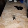 Coin collectors photobox for smartphones Image 5