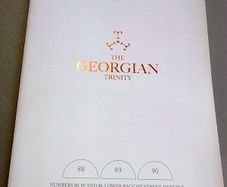 The Georgian Trinity 88 89 & 90 Lower Baggot Street Dublin Ireland Irish
