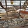 Pet gerbils with cage and accessories Image 2