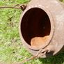 Antique  Cast Iron  Pot Image 2