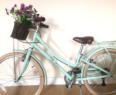 Pendleton Somerby Junior Bike - 24" Wheel