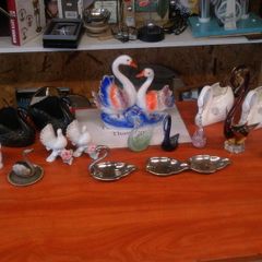 Swan collection