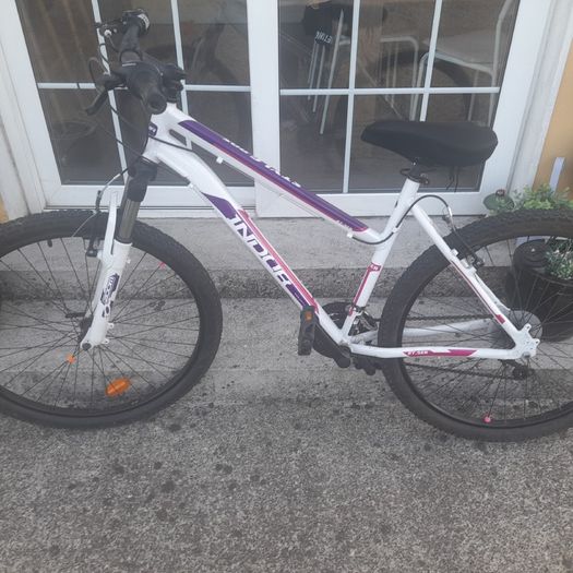 Adult bicycle