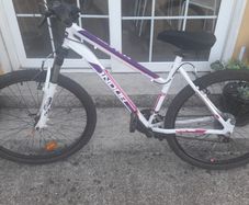 Adult bicycle