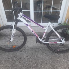 Adult bicycle
