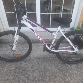 Adult bicycle