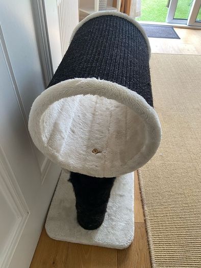 Cat scratch and play post