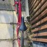 red Bullseye kids bike  18-inch wheels Image 4