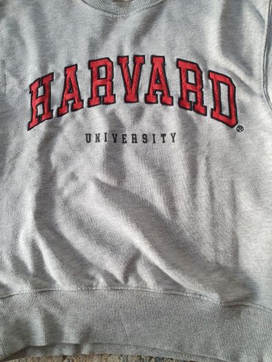 Zara Boys sweatshirt