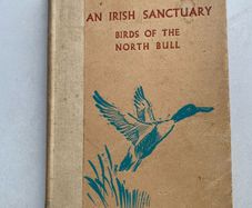 Rare irish book, An Irish Sanctuary, Birds of the North Bull, Dollymount, Howth, Sutton