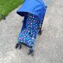 buggy Image 5
