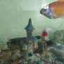assorted large gold fish Image 6