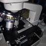 BRESSER Erudit DLX 40-600x Microscope Image 6