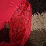 outfit size 10 Image 5