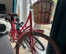 Raleigh Willow pink ladies bike with all accessories and tools